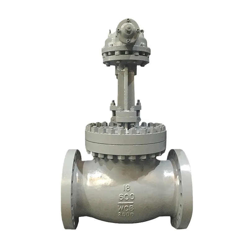Lalata Resistant Globe Valve